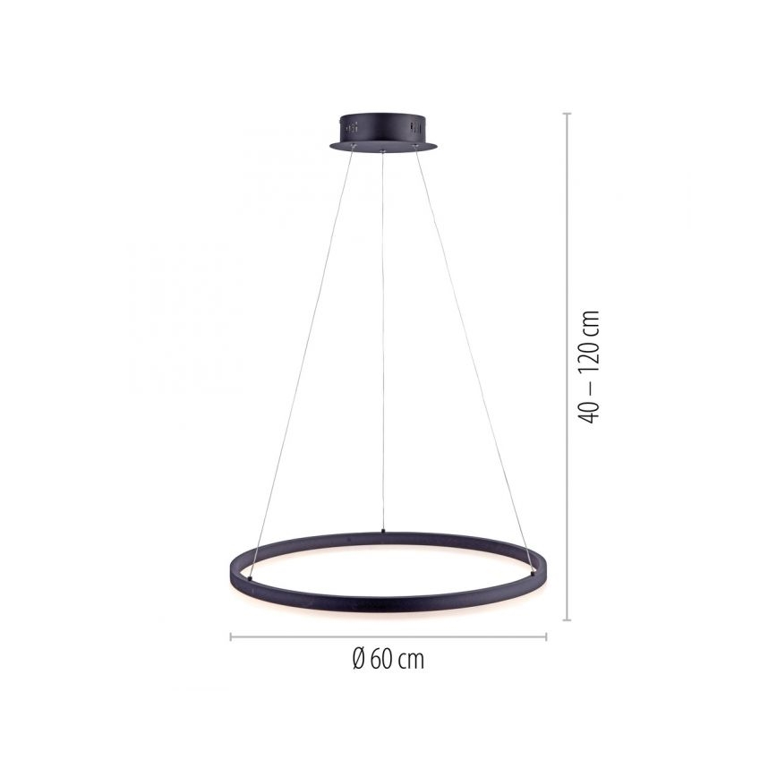 Paul Neuhaus 2382-13 - LED Ściemniany żyrandol na lince TITUS LED/38,5W/230V