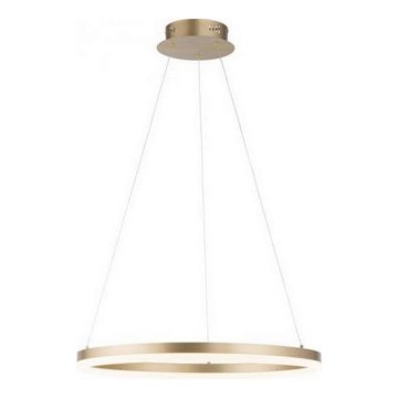 Paul Neuhaus 2382-60 - LED Żyrandol ściemnialny na lince TITUS LED/38,5W/230V