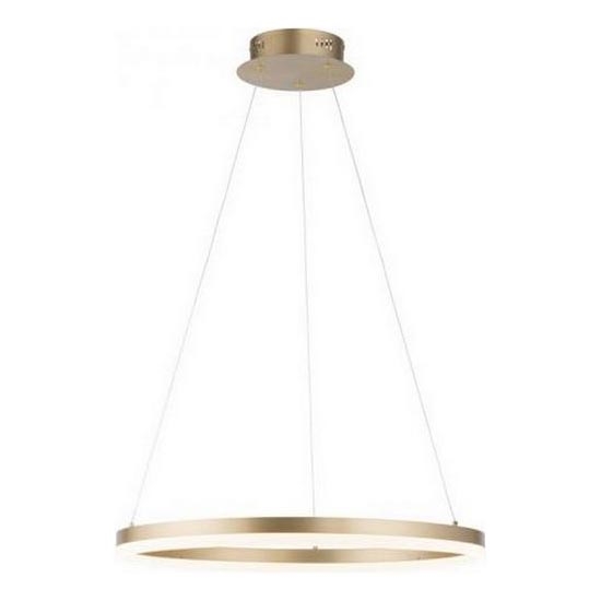 Paul Neuhaus 2382-60 - LED Żyrandol ściemnialny na lince TITUS LED/38,5W/230V