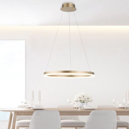 Paul Neuhaus 2382-60 - LED Żyrandol ściemnialny na lince TITUS LED/38,5W/230V