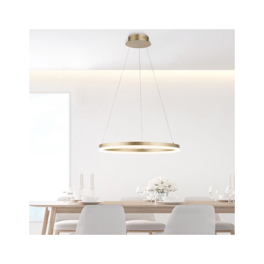 Paul Neuhaus 2382-60 - LED Żyrandol ściemnialny na lince TITUS LED/38,5W/230V