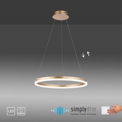 Paul Neuhaus 2382-60 - LED Żyrandol ściemnialny na lince TITUS LED/38,5W/230V