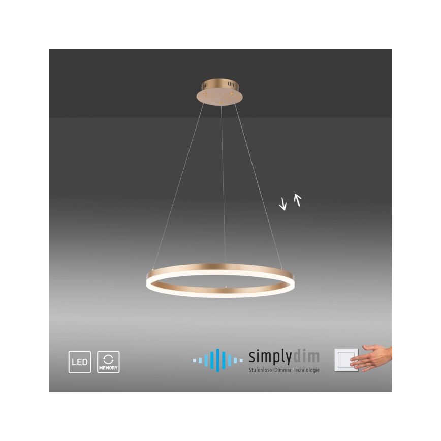 Paul Neuhaus 2382-60 - LED Żyrandol ściemnialny na lince TITUS LED/38,5W/230V
