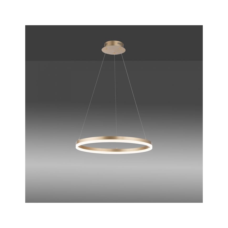 Paul Neuhaus 2382-60 - LED Żyrandol ściemnialny na lince TITUS LED/38,5W/230V
