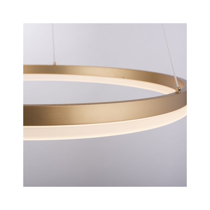 Paul Neuhaus 2382-60 - LED Żyrandol ściemnialny na lince TITUS LED/38,5W/230V
