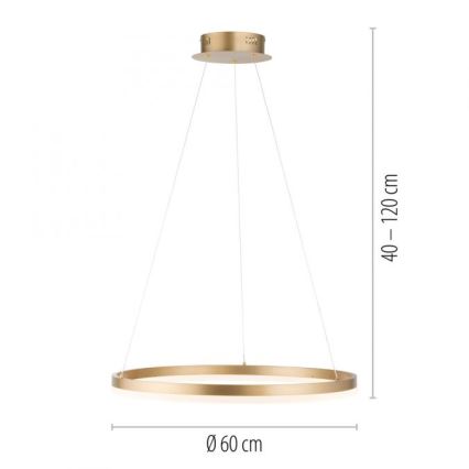 Paul Neuhaus 2382-60 - LED Żyrandol ściemnialny na lince TITUS LED/38,5W/230V