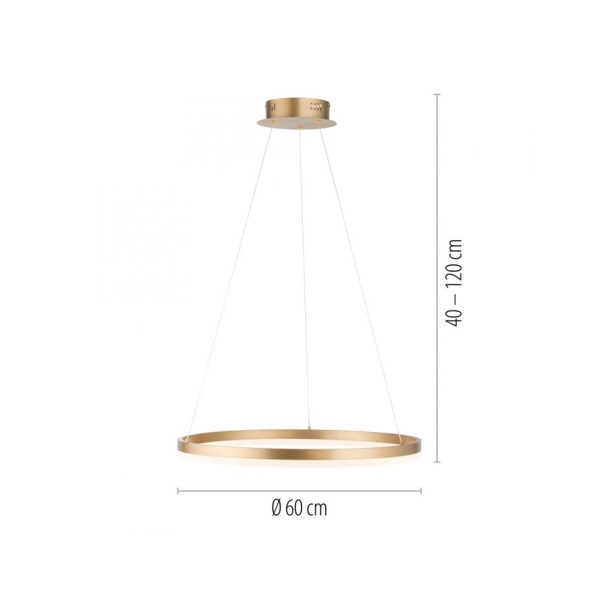 Paul Neuhaus 2382-60 - LED Żyrandol ściemnialny na lince TITUS LED/38,5W/230V