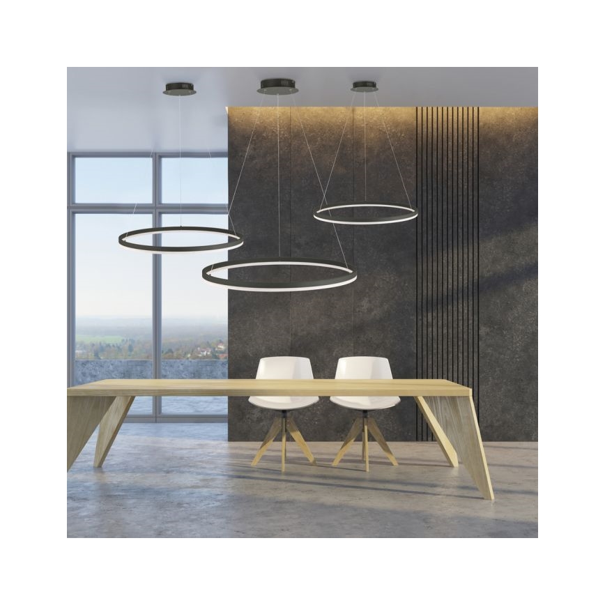 Paul Neuhaus 2383-13 - LED Ściemniany żyrandol na lince TITUS LED/50W/230V