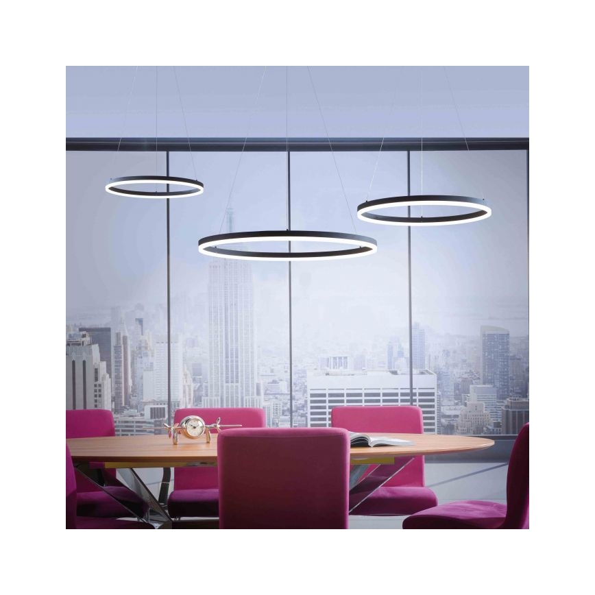 Paul Neuhaus 2383-13 - LED Ściemniany żyrandol na lince TITUS LED/50W/230V