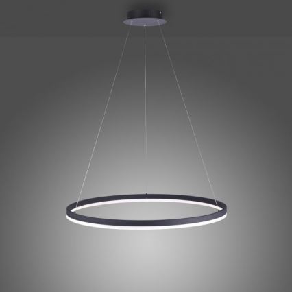 Paul Neuhaus 2383-13 - LED Ściemniany żyrandol na lince TITUS LED/50W/230V