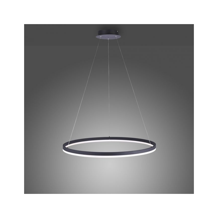 Paul Neuhaus 2383-13 - LED Ściemniany żyrandol na lince TITUS LED/50W/230V