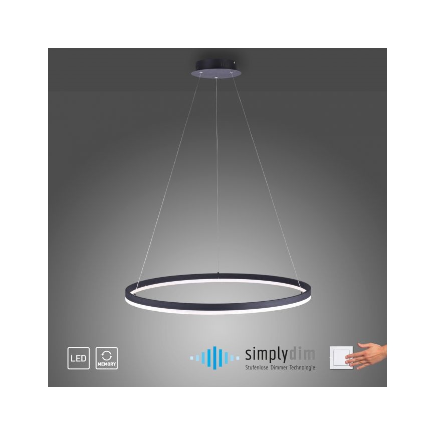 Paul Neuhaus 2383-13 - LED Ściemniany żyrandol na lince TITUS LED/50W/230V
