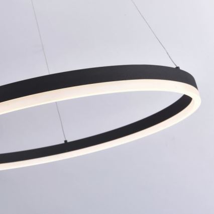 Paul Neuhaus 2383-13 - LED Ściemniany żyrandol na lince TITUS LED/50W/230V