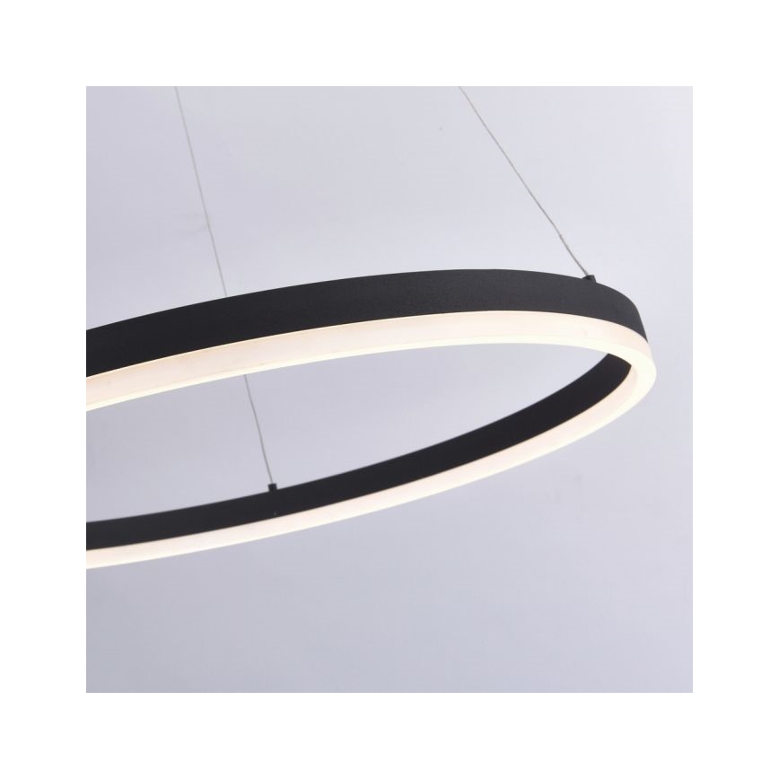 Paul Neuhaus 2383-13 - LED Ściemniany żyrandol na lince TITUS LED/50W/230V