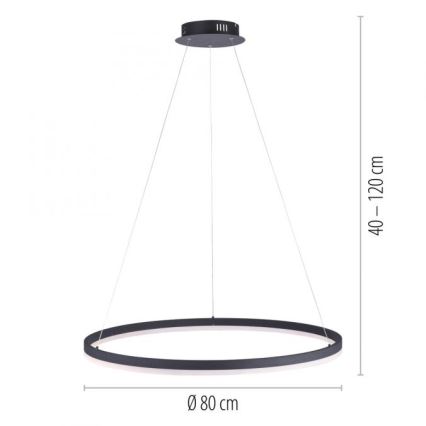 Paul Neuhaus 2383-13 - LED Ściemniany żyrandol na lince TITUS LED/50W/230V