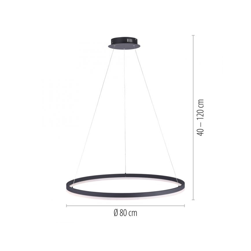 Paul Neuhaus 2383-13 - LED Ściemniany żyrandol na lince TITUS LED/50W/230V