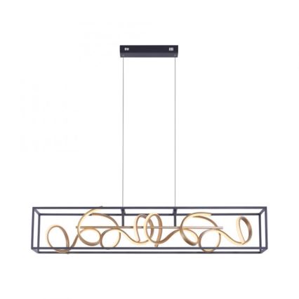 Paul Neuhaus 2416-18 - LED Ściemnialny żyrandol na lince SELINA 4xLED/10,2W/230V