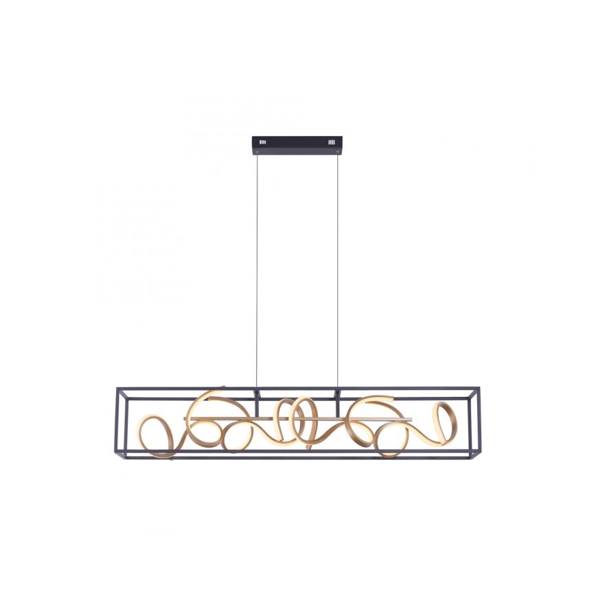 Paul Neuhaus 2416-18 - LED Ściemnialny żyrandol na lince SELINA 4xLED/10,2W/230V