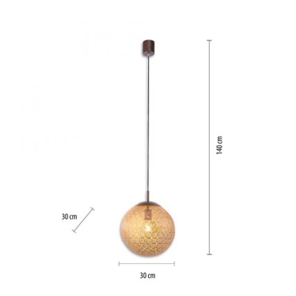 Paul Neuhaus 2420-48 - Żyrandol na lince GRETA 1xE27/60W/230V śr. 30 cm