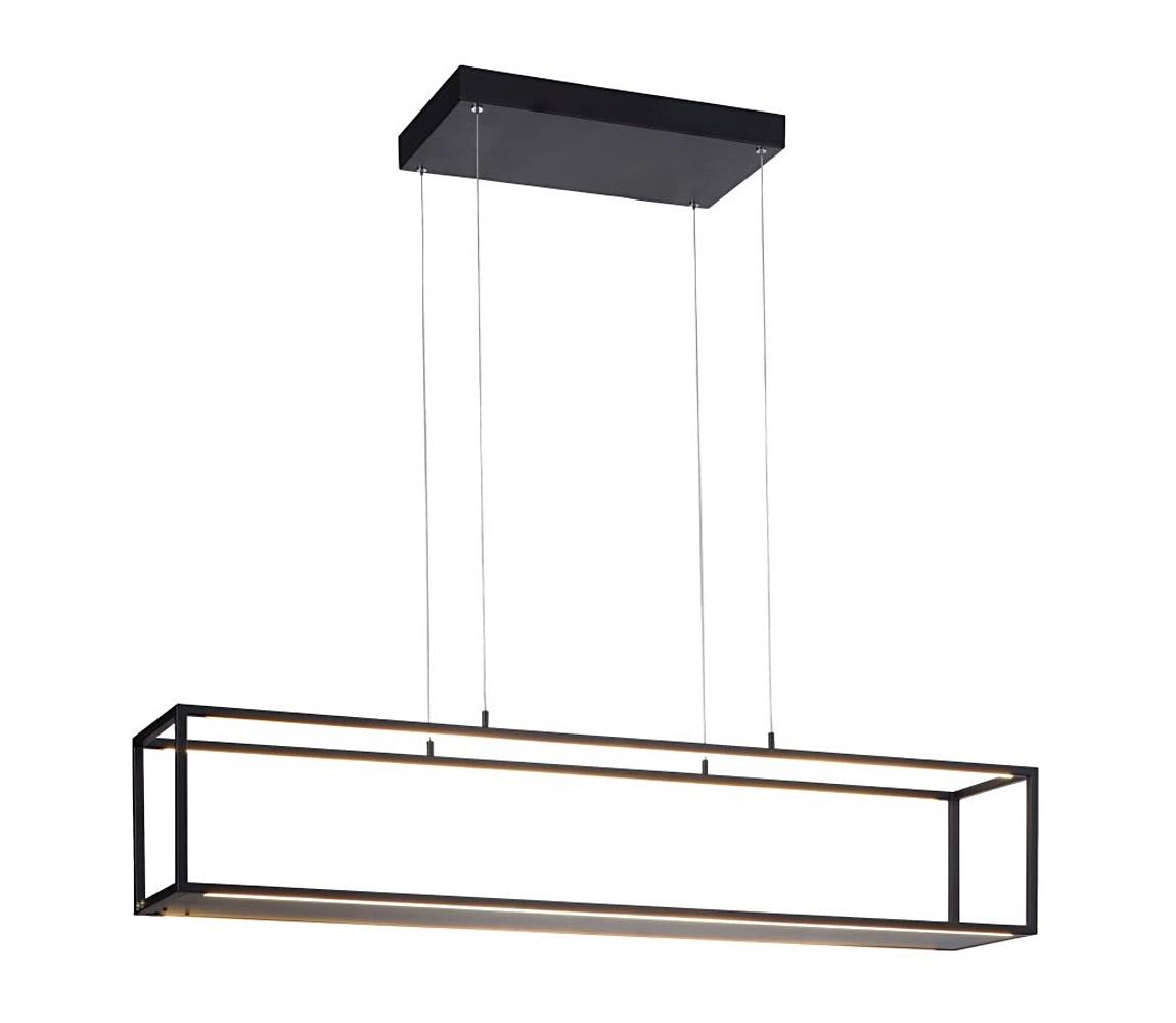 Paul Neuhaus 2441-18 - LED Ściemniany żyrandol na lince CONTURA 4xLED/8W/230V