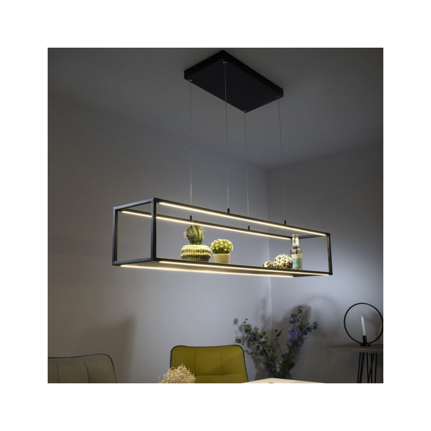 Paul Neuhaus 2441-18 - LED Ściemniany żyrandol na lince CONTURA 4xLED/8W/230V