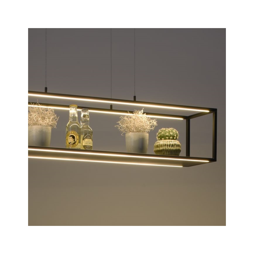 Paul Neuhaus 2441-18 - LED Ściemniany żyrandol na lince CONTURA 4xLED/8W/230V