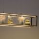 Paul Neuhaus 2441-18 - LED Ściemniany żyrandol na lince CONTURA 4xLED/8W/230V
