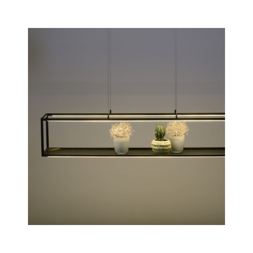 Paul Neuhaus 2441-18 - LED Ściemniany żyrandol na lince CONTURA 4xLED/8W/230V