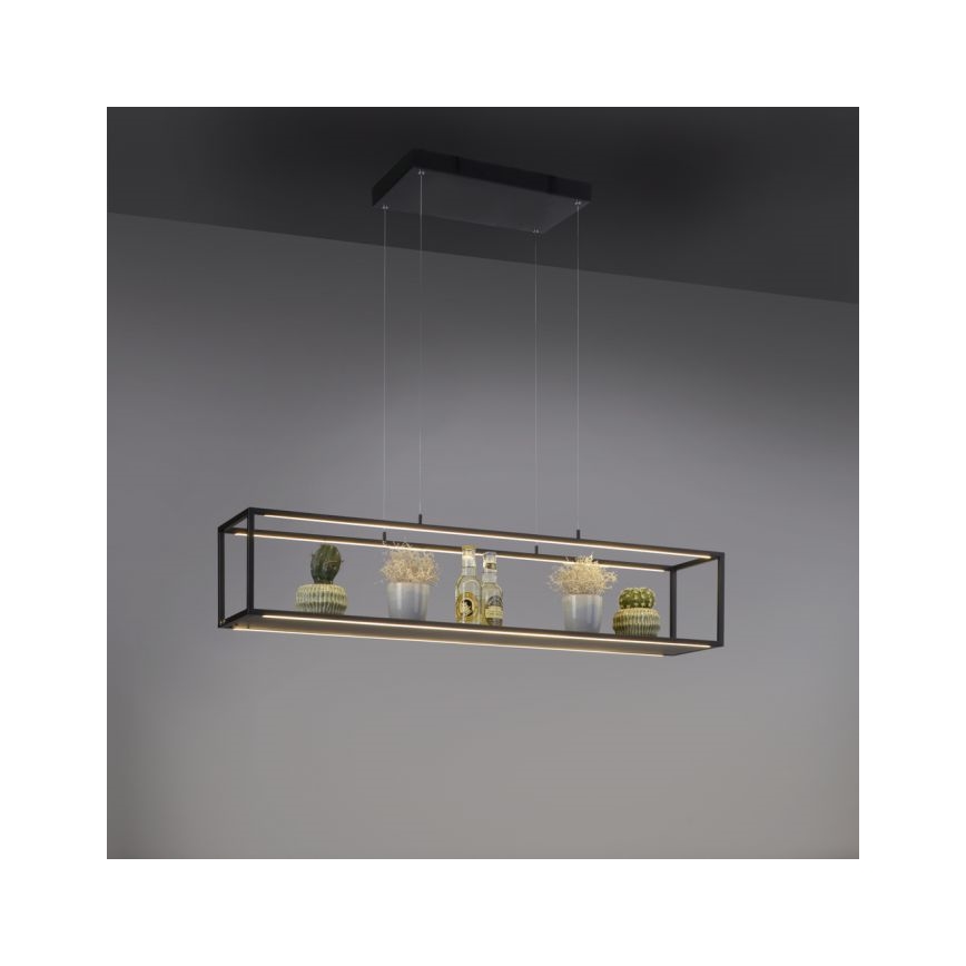 Paul Neuhaus 2441-18 - LED Ściemniany żyrandol na lince CONTURA 4xLED/8W/230V