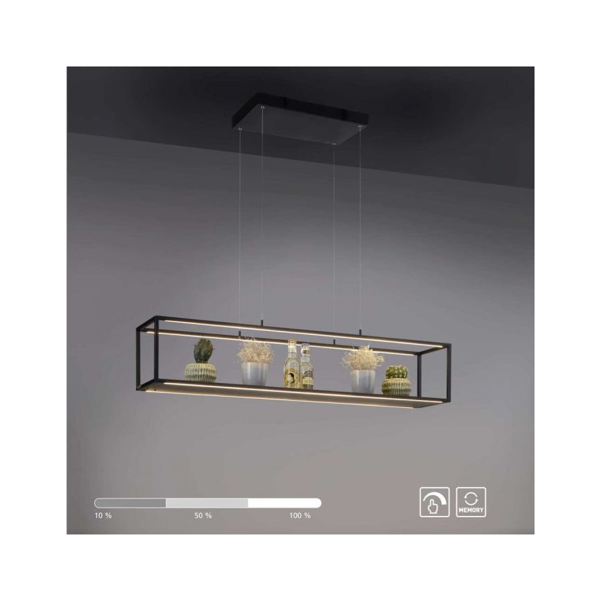Paul Neuhaus 2441-18 - LED Ściemniany żyrandol na lince CONTURA 4xLED/8W/230V