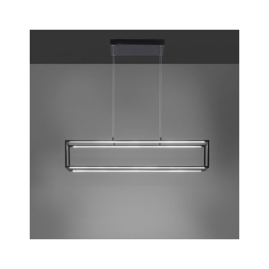 Paul Neuhaus 2441-18 - LED Ściemniany żyrandol na lince CONTURA 4xLED/8W/230V