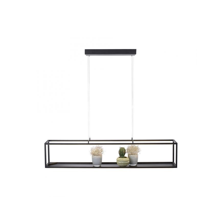 Paul Neuhaus 2441-18 - LED Ściemniany żyrandol na lince CONTURA 4xLED/8W/230V