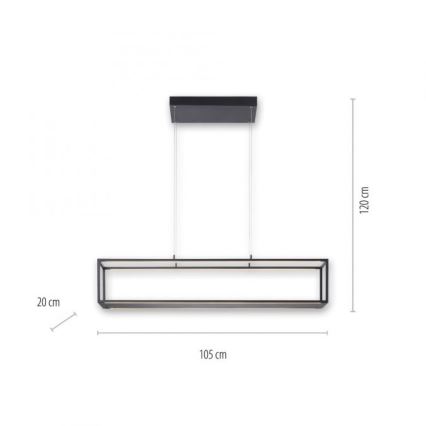 Paul Neuhaus 2441-18 - LED Ściemniany żyrandol na lince CONTURA 4xLED/8W/230V