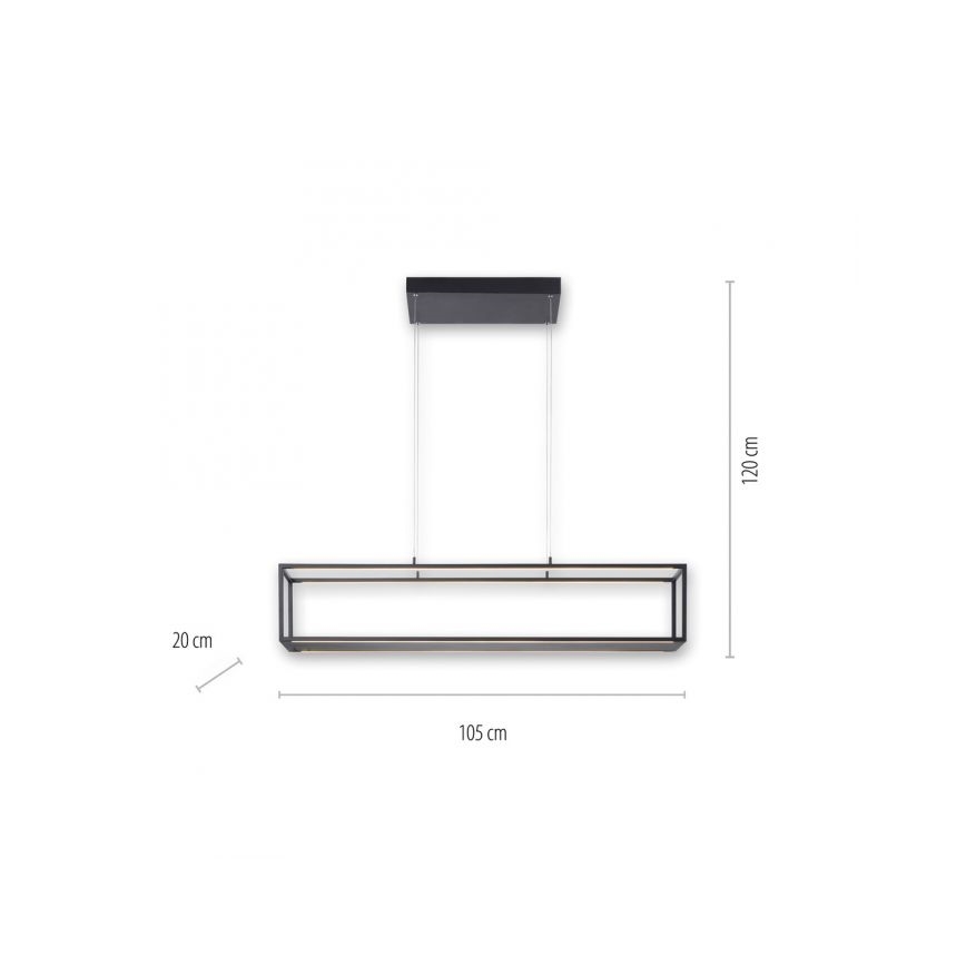 Paul Neuhaus 2441-18 - LED Ściemniany żyrandol na lince CONTURA 4xLED/8W/230V