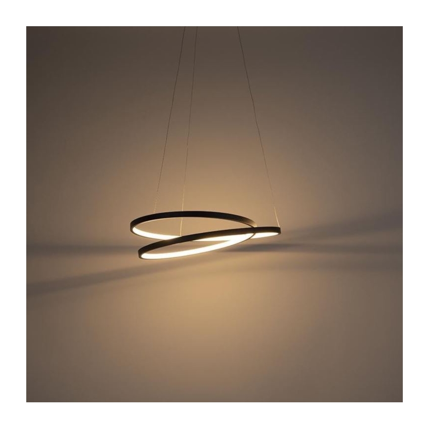 Paul Neuhaus 2472-18 - LED Ściemniany żyrandol na lince ROMAN LED/30W/230V czarny