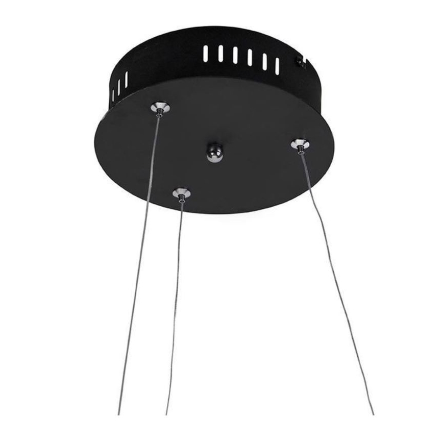Paul Neuhaus 2472-18 - LED Ściemniany żyrandol na lince ROMAN LED/30W/230V czarny