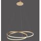 Paul Neuhaus 2474-12 - LED Ściemniany żyrandol na lince ROMAN LED/40W/230V złoty