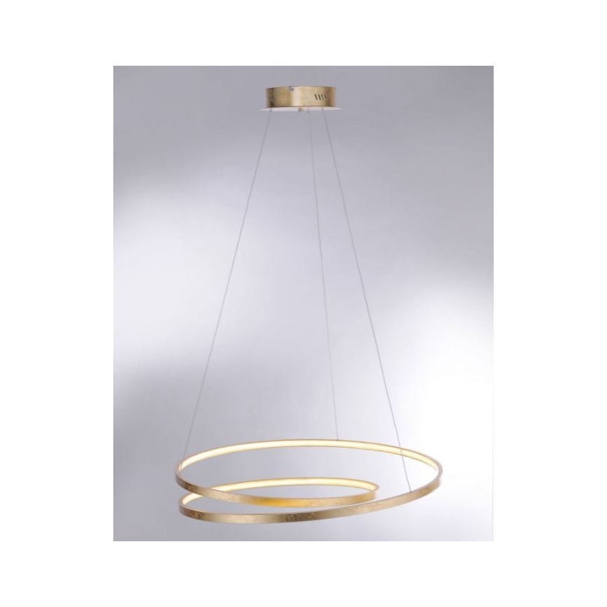 Paul Neuhaus 2474-12 - LED Ściemniany żyrandol na lince ROMAN LED/40W/230V złoty