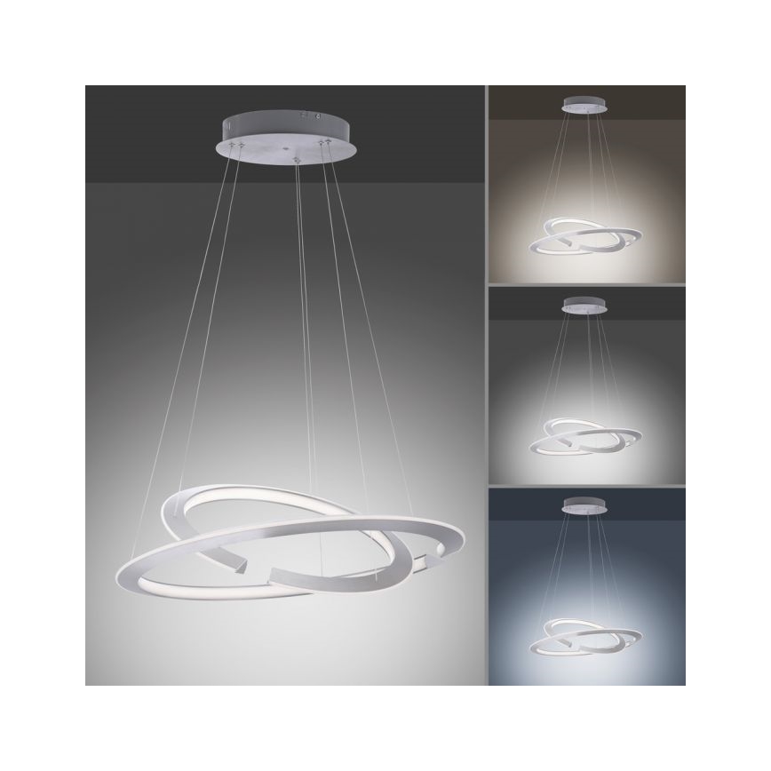 Paul Neuhaus 2491-55 - LED Ściemniany żyrandol na lince ALESSA 2xLED/26W/230V + pilot