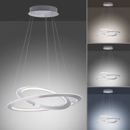 Paul Neuhaus 2491-55 - Regulowany żyrandol LED na linkach ALESSA 2xLED/26W/230V + pilot zdalnego sterowania