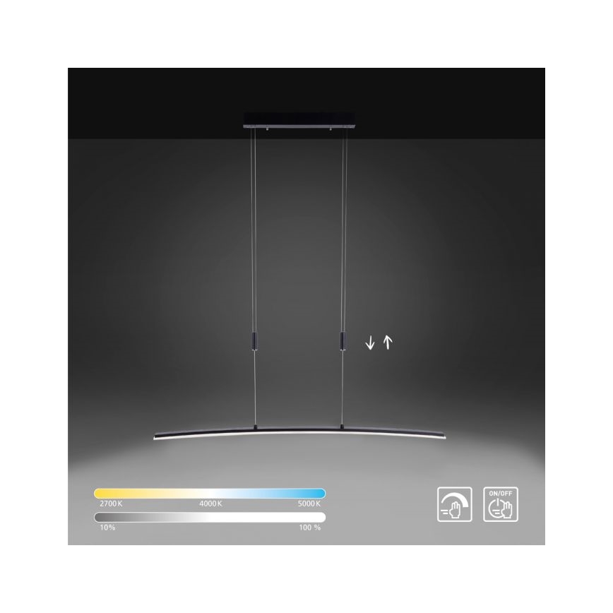 Paul Neuhaus 2530-13 - LED Ściemniany żyrandol na lince JANINA LED/27W/230V