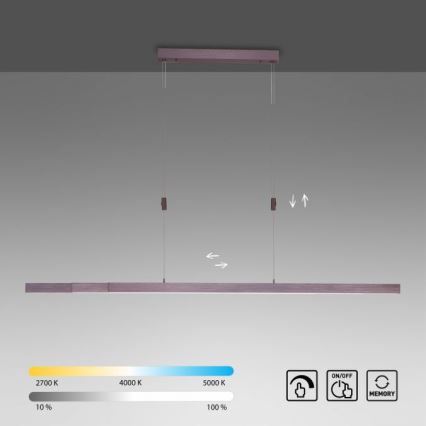 Paul Neuhaus 2568-24 - LED Żyrandol ściemnialny na lince ADRIANA LED/14W/230V 2700-5000K