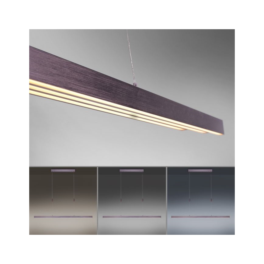 Paul Neuhaus 2568-24 - LED Żyrandol ściemnialny na lince ADRIANA LED/14W/230V 2700-5000K