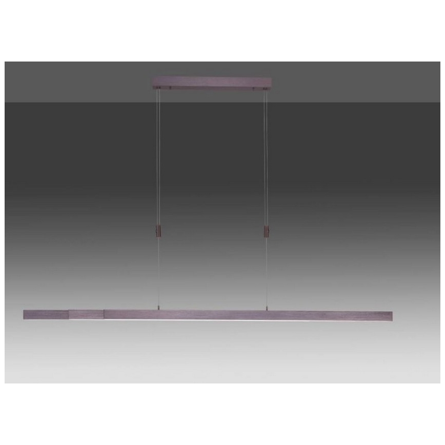 Paul Neuhaus 2568-24 - LED Żyrandol ściemnialny na lince ADRIANA LED/14W/230V 2700-5000K