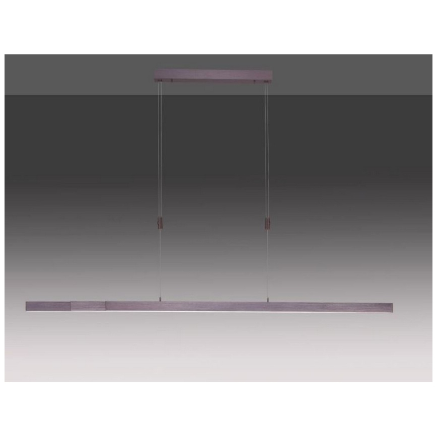 Paul Neuhaus 2568-24 - LED Żyrandol ściemnialny na lince ADRIANA LED/14W/230V 2700-5000K