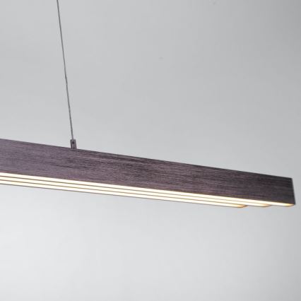 Paul Neuhaus 2568-24 - LED Żyrandol ściemnialny na lince ADRIANA LED/14W/230V 2700-5000K