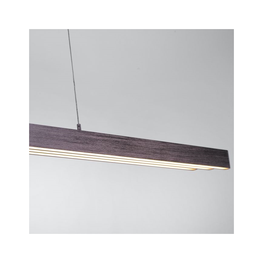 Paul Neuhaus 2568-24 - LED Żyrandol ściemnialny na lince ADRIANA LED/14W/230V 2700-5000K