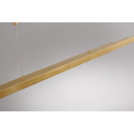 Paul Neuhaus 2568-60 - LED Żyrandol ściemnialny na lince ADRIANA LED/14W/230V  2700-5000K mosiądz