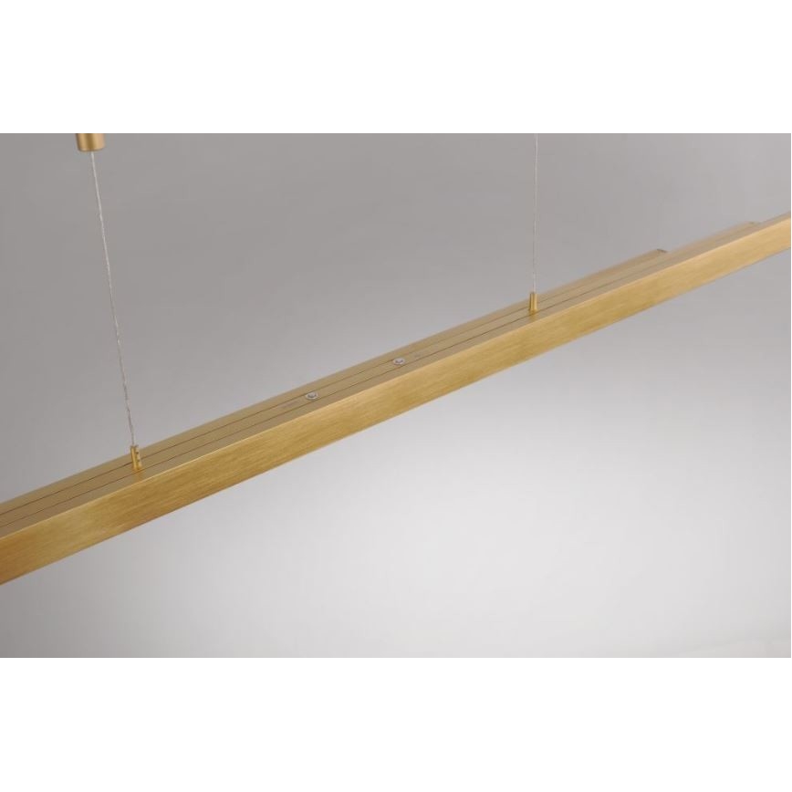 Paul Neuhaus 2568-60 - LED Żyrandol ściemnialny na lince ADRIANA LED/14W/230V  2700-5000K mosiądz