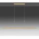 Paul Neuhaus 2568-60 - LED Żyrandol ściemnialny na lince ADRIANA LED/14W/230V  2700-5000K mosiądz